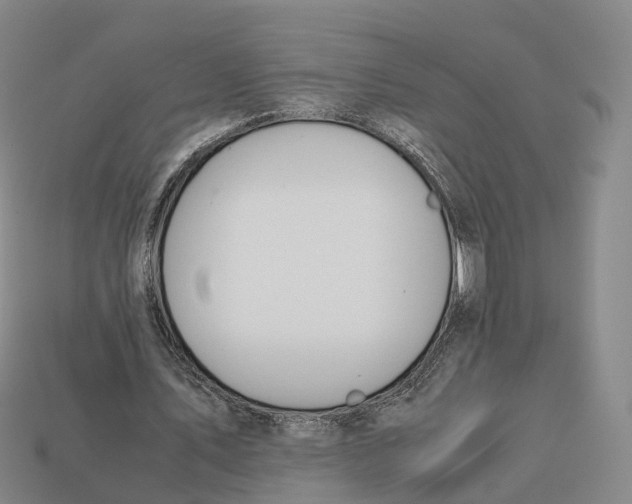 X0000113090579200909251012