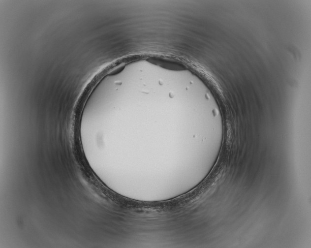 X0000113090580200909251012