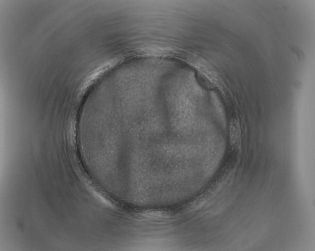 X0000113090581200909251012