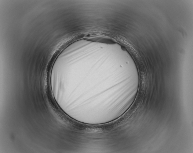 X0000113090582200909251012