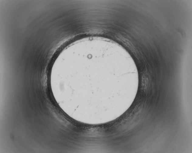 X0000113090584200909251012