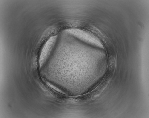 X0000113090585200909251012