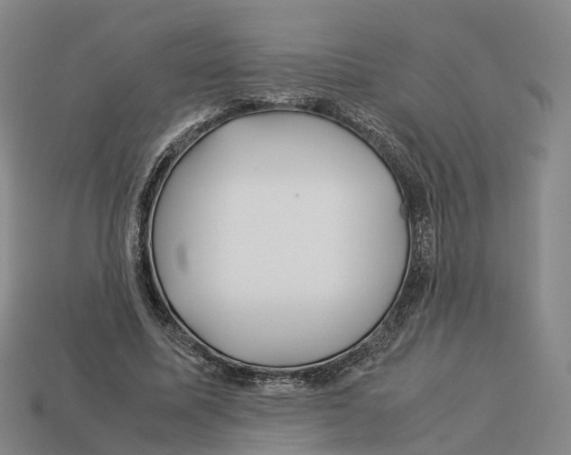 X0000113090587200909251012