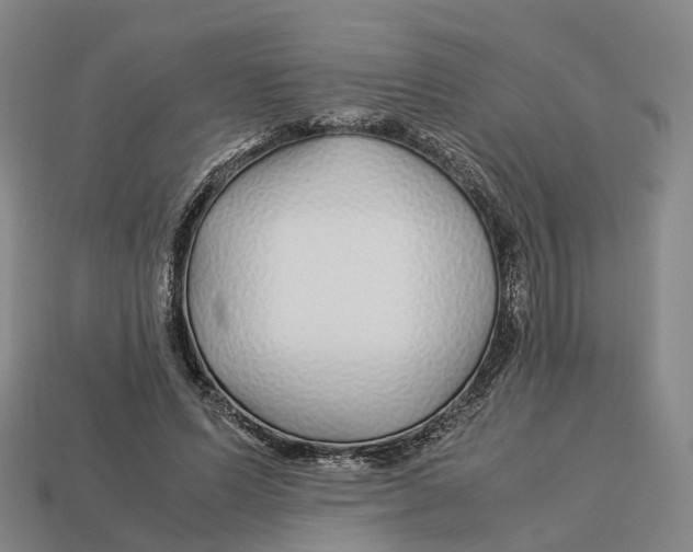 X0000113090591200909251012