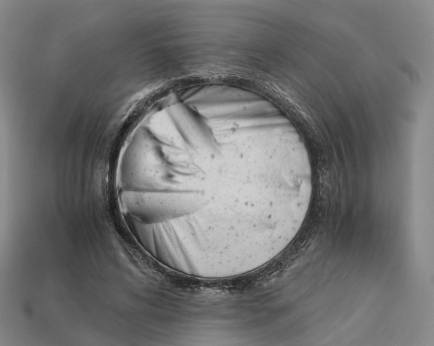 X0000113090592200909251012