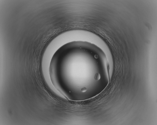 X0000113090593200909251012