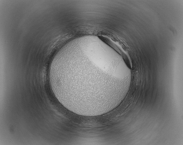 X0000113090594200909251012