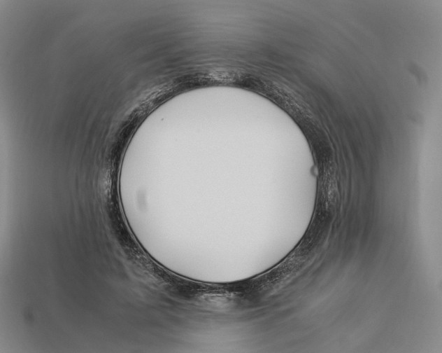 X0000113090595200909251012