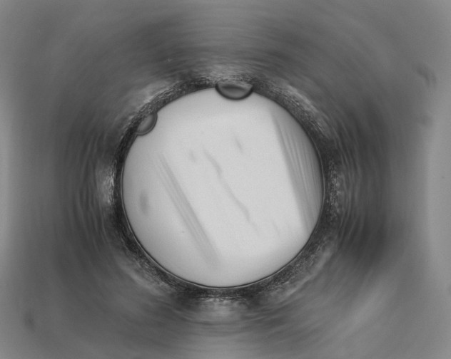 X0000113090596200909251012