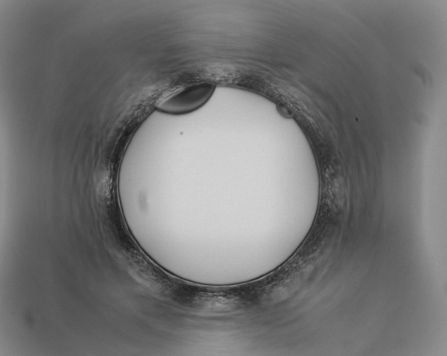 X0000113090597200909251012