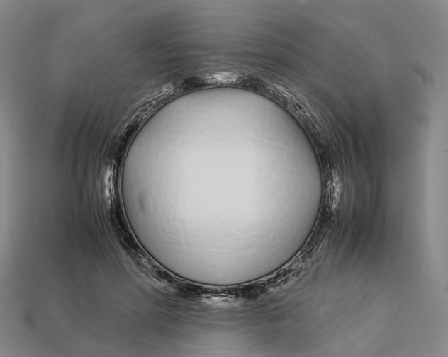 X0000113090598200909251012
