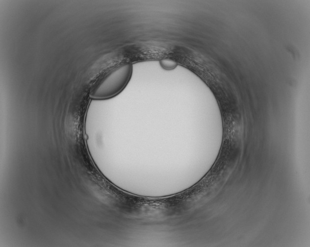 X0000113090599200909251012