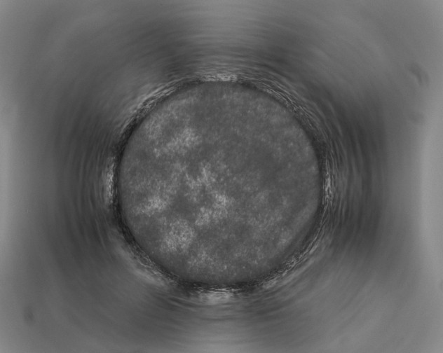 X0000113090600200909251012
