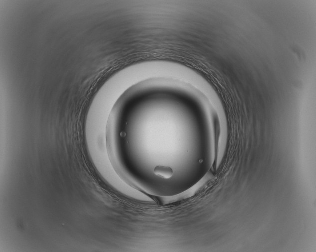 X0000113090601200909251012