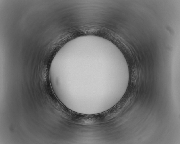 X0000113090604200909251012