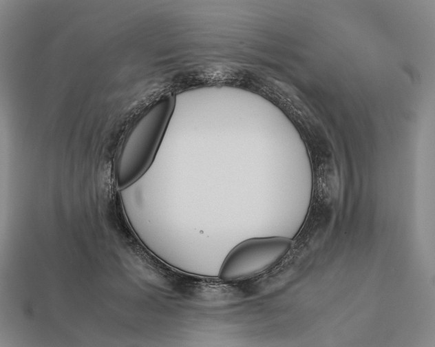 X0000113090605200909251012