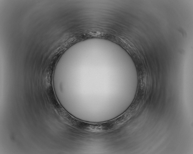 X0000113090606200909251012