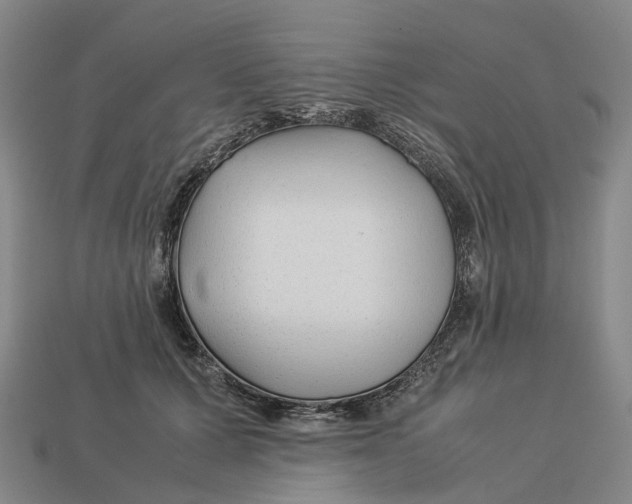 X0000113090607200909251012