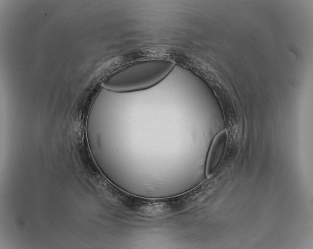 X0000113090609200909251012