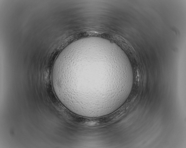 X0000113090610200909251012
