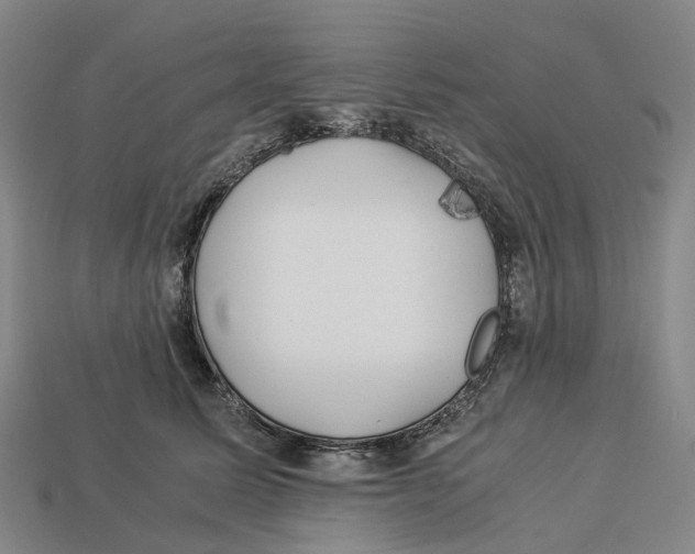 X0000113090611200909251012