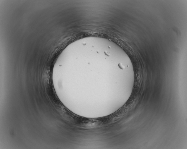 X0000113090612200909251012