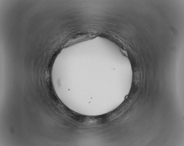 X0000113090613200909251011