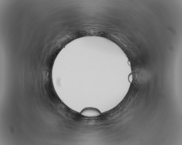 X0000113090615200909251011