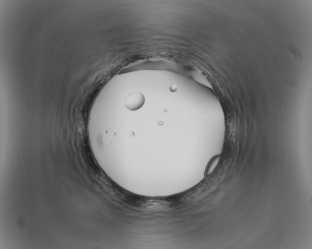 X0000113090617200909251011
