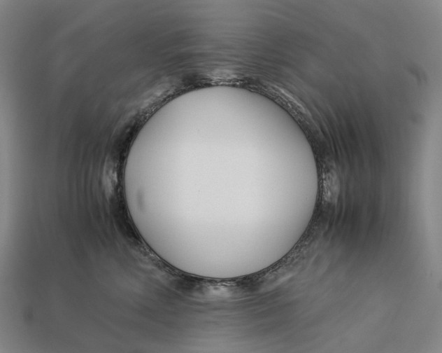 X0000113090618200909251011