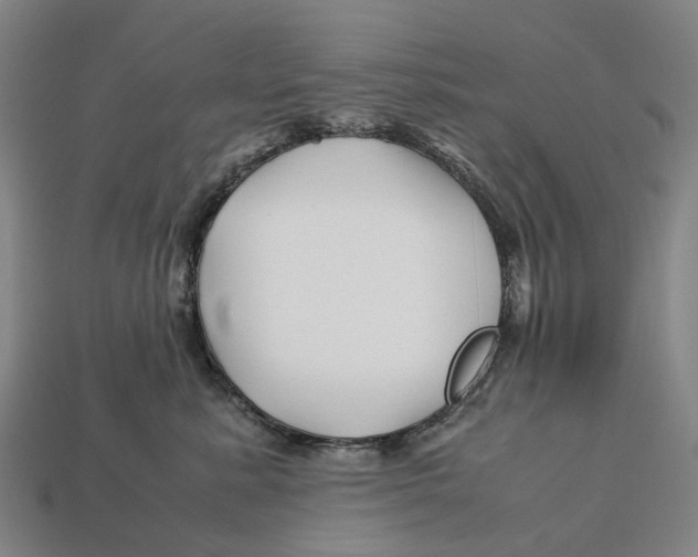 X0000113090619200909251011
