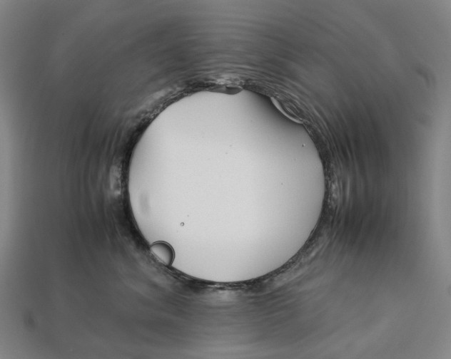 X0000113090620200909251011