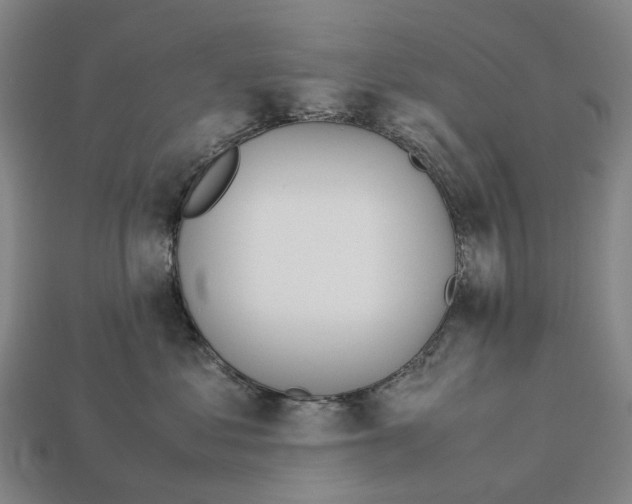 X0000113090621200909251011