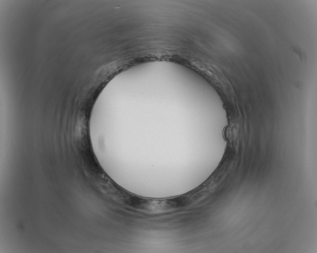 X0000113090623200909251011