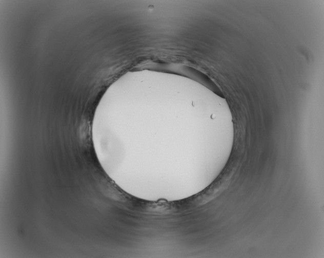 X0000113090624200909251011