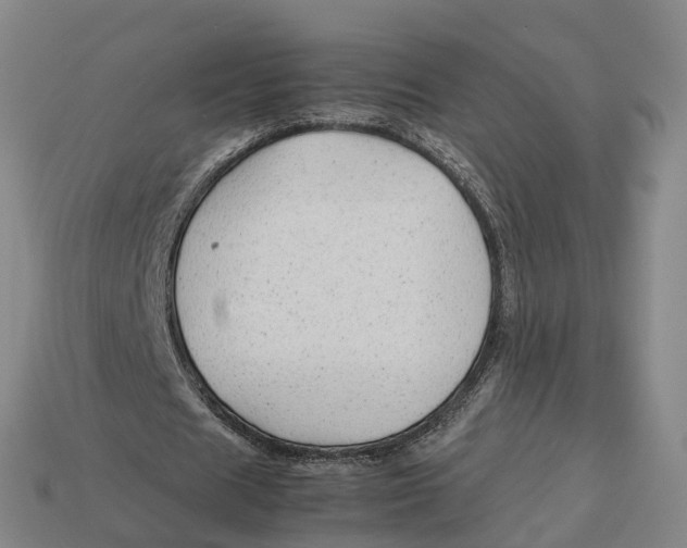 X0000113090625200909251011
