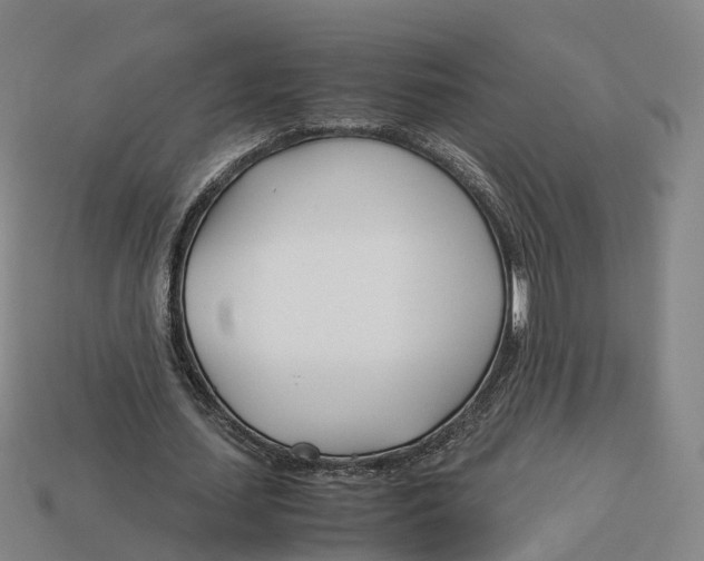 X0000113090627200909251011