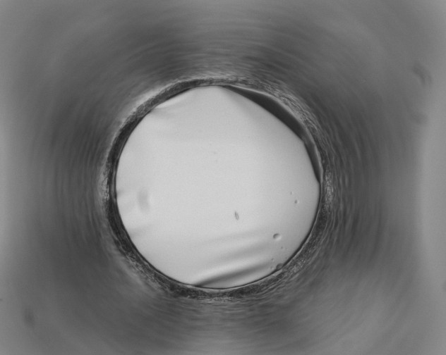 X0000113090628200909251011