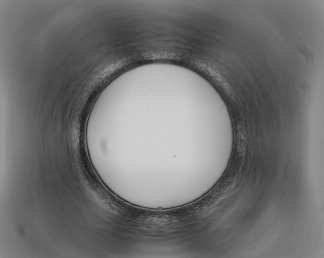 X0000113090631200909251011