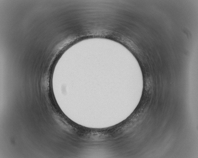 X0000113090632200909251011