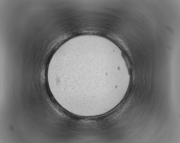 X0000113090633200909251011