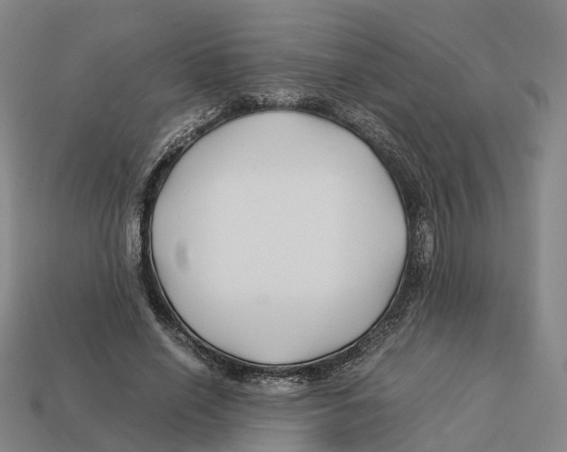 X0000113090638200909251011