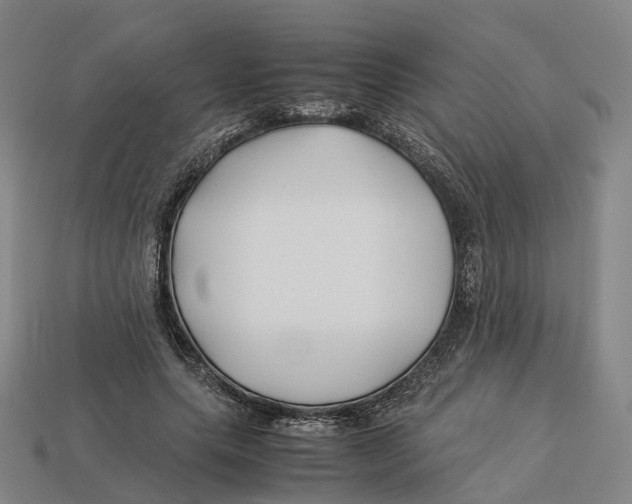 X0000113090639200909251011