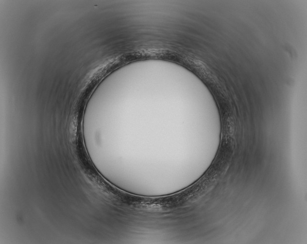 X0000113090640200909251011