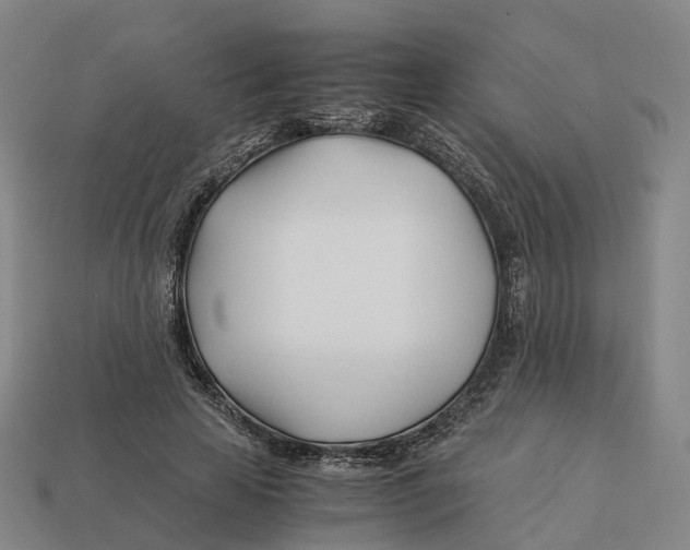 X0000113090641200909251011