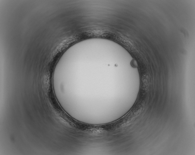 X0000113090642200909251011