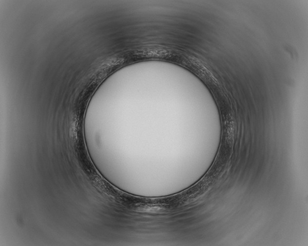 X0000113090643200909251011