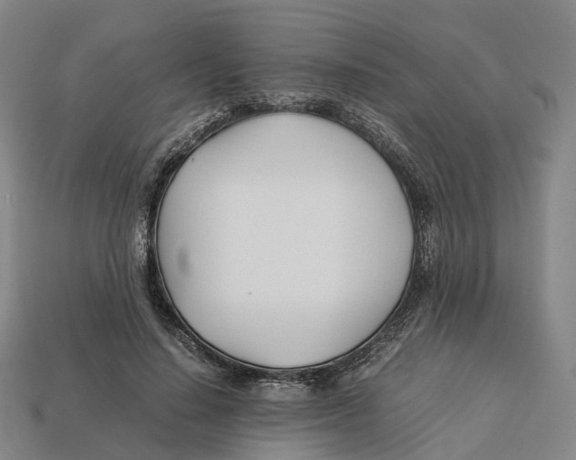 X0000113090644200909251011