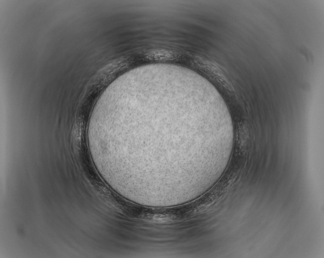 X0000113090645200909251011