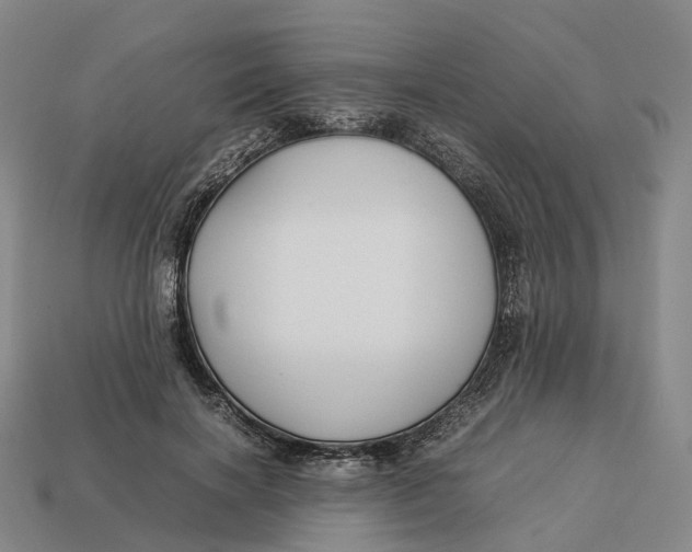 X0000113090646200909251011